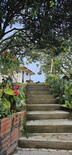 Un jardín fuera de Tranquilidad en el campo Rega