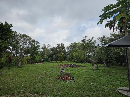 Un jardín fuera de Tranquilidad en el campo Rega