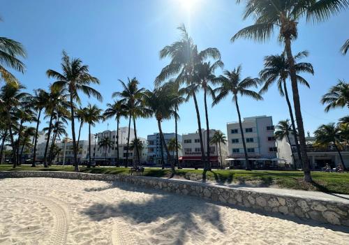 a row of palm trees on a sandy beach at Ocean Drive Rooftop Suite with Ocean Views & Terrace in Miami Beach