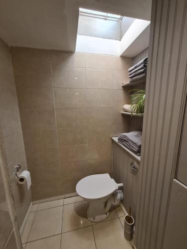 a bathroom with a white toilet in a room at Magical Gate Lodge on Dublin Coast in Dublin