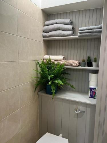 a bathroom with a shelf with towels and a plant at Magical Gate Lodge on Dublin Coast in Dublin
