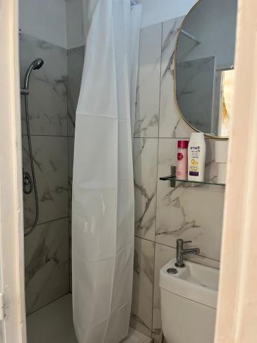 une salle de bain avec douche, toilettes et miroir dans l'établissement Élégant cocon lumineux au cœur de Paris, à Paris