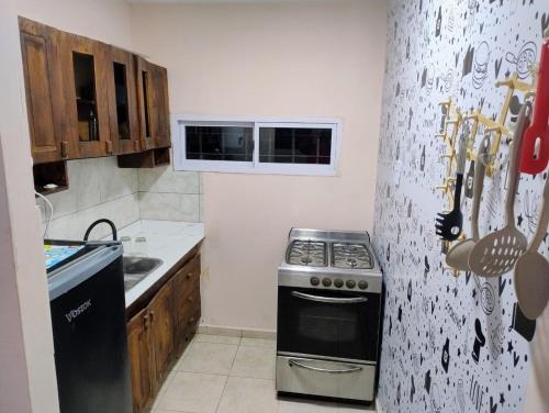 圣拉斐尔Brisa de montaña的带炉灶和水槽的小厨房