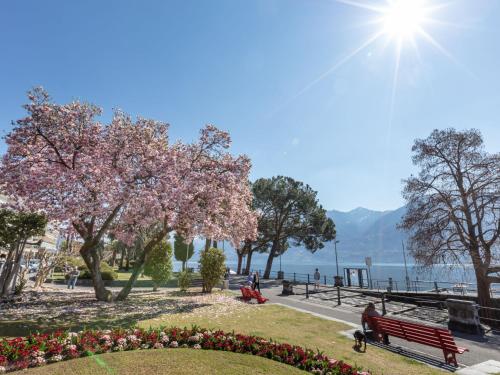 a park with a bench and flowers and a lake at Holiday Home Villetta Isabella by Interhome in Ascona