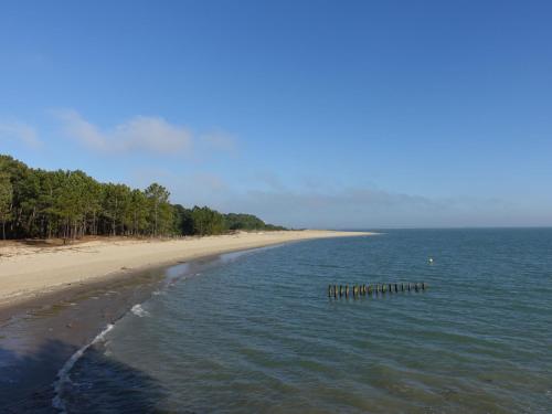a beach with a pier in the middle of the water at Holiday Home La Langrotte by Interhome in Dolus-d'Oléron