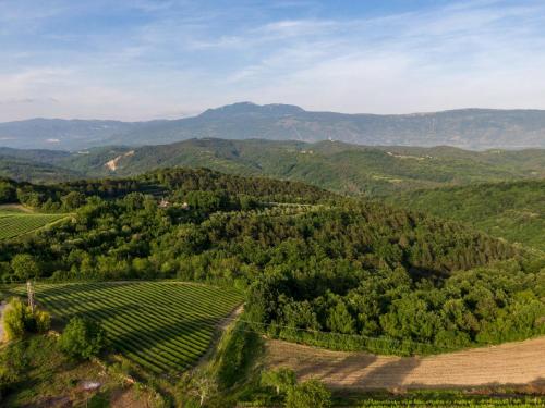 an aerial view of a valley with trees and mountains at Holiday Home Franz by Interhome in Potpićan