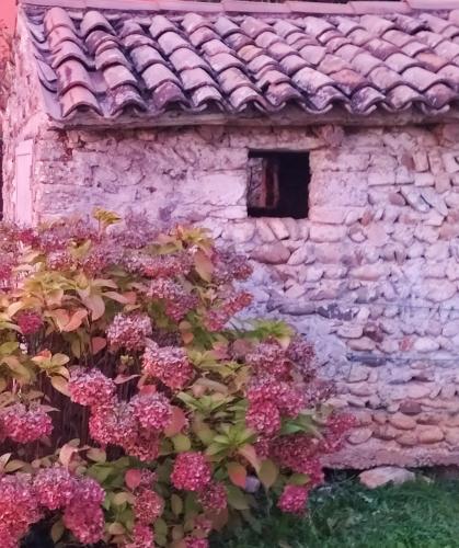a stone house with pink flowers in front of it at B&B Terre Di Bea in Pederobba
