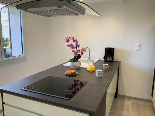 a kitchen with a counter with a laptop on it at Le Sucre d'Orge à 11 min d' Eurexpo in Genas