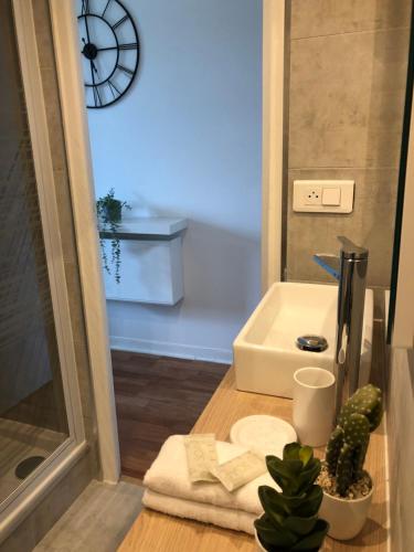 La salle de bains est pourvue d'un lavabo, d'une table avec des serviettes et d'un cactus. dans l'établissement Studio au cœur de Nice lumineux, à Nice