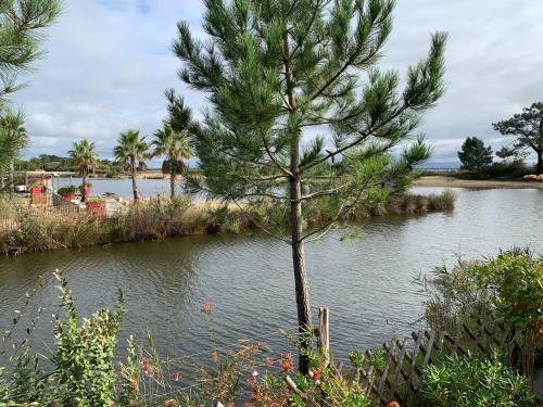 Siblu Village Les Viviers Bassin d'Arcachon mobile home neuf climatisé 3 chambres