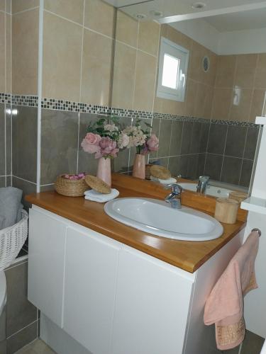 une salle de bain avec un lavabo et un miroir dans l'établissement Appartement 4 pièces avec vue mer et stationnement privé à Nice, à Nice