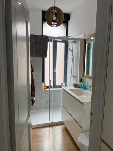 ein Badezimmer mit Dusche, Waschbecken und Toilette in der Unterkunft Maison entière paisible à 5 minutes de Lille in Saint-André