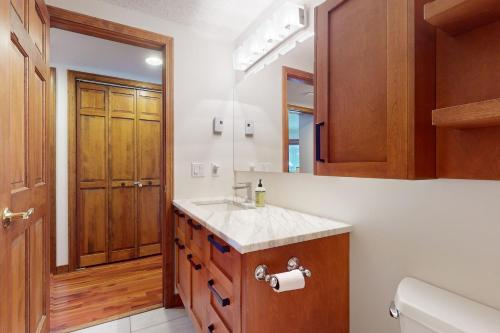 a bathroom with a sink and a mirror at The Queens Slopeside Hideaway in Jay
