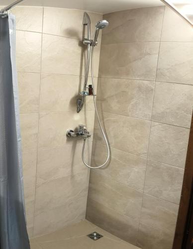 a shower with a shower head in a bathroom at Sodyba 15 Ąžuolų Svečių namai 1 in Triušiai