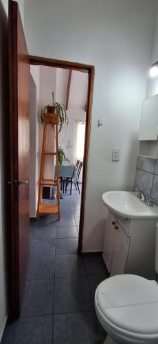 a bathroom with a toilet and a sink and a ladder at Calendulas del Cabo in Trevelín