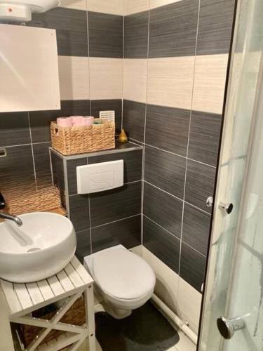 une salle de bain avec toilettes et lavabo dans l'établissement Appartement Paris 15, à Paris
