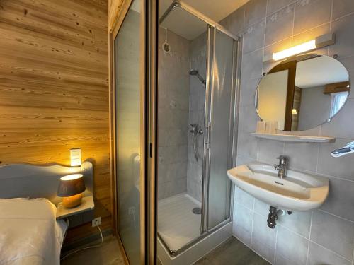 une salle de bain avec une douche, un lavabo et un miroir dans l'établissement GROTTE AUX FEES D, appartement 6 pers, skis aux pieds, à La Clusaz