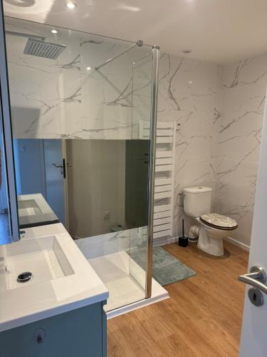 une salle de bain avec une douche en verre et des toilettes dans l'établissement Appart l 'Amaryllis, à Sanary-sur-Mer