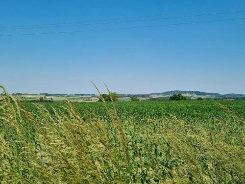 صورة لـ Gîte familial 2 chambres à Méteren - FR-1-510-229 في Météren