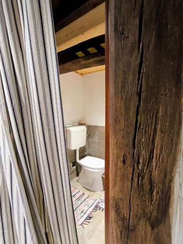 a bathroom with a toilet in a room at Blue Forest Retreat in Mánfa