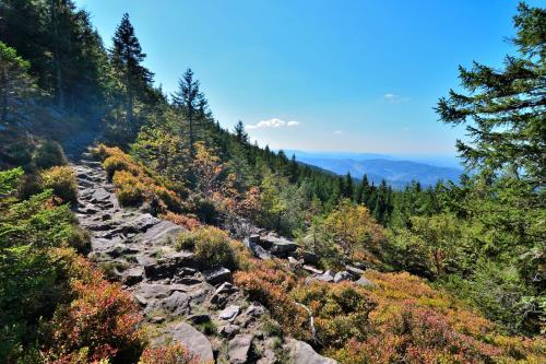 a rocky trail in the mountains with trees at RelaxHotel Tannenhof in Sasbachwalden