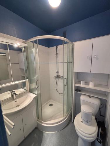 une salle de bain avec une douche, des toilettes et un lavabo dans l'établissement Appartement à la montagne, à Besse-et-Saint-Anastaise