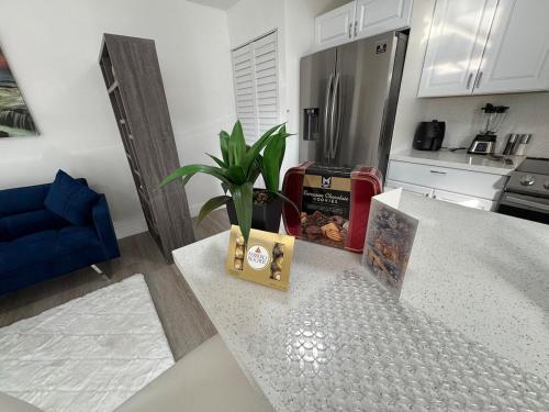 Modern Apartment Miami Oasis photo 22