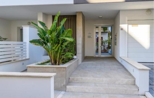 a staircase leading to a house with a plant at Albamare in Alba Adriatica