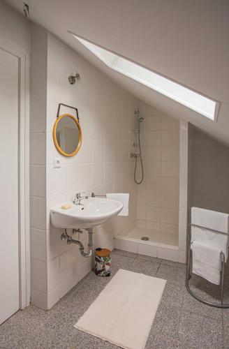 une salle de bain avec un lavabo et une douche dans l'établissement Le 921, une déconnexion nature, au Hohwald