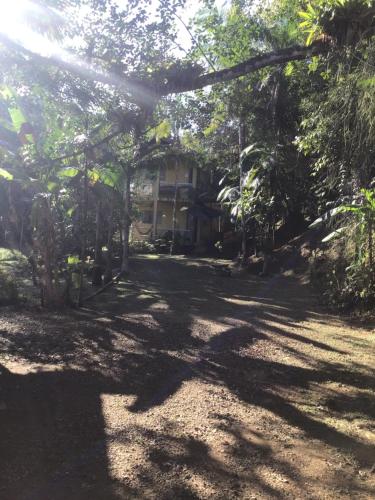 a house in the middle of a yard with trees at Flat Boa Vista in Paraty
