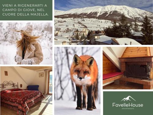 Fotografie z fotogalerie ubytování Favelle House v destinaci Campo di Giove