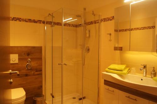 a bathroom with a shower and a toilet and a sink at Landhotel Klempau in Lübeck