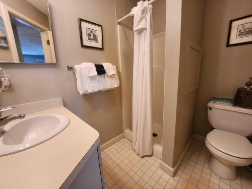 a bathroom with a toilet and a sink at North Shore Inn TC 304 in Traverse City