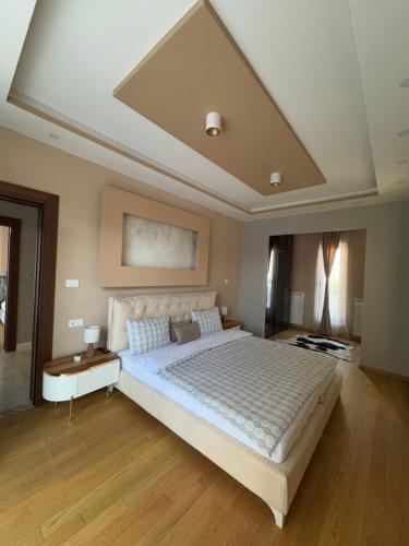 Una cama o camas en una habitación de VILA VIKTORIJA