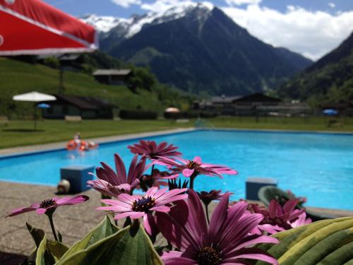 a bunch of purple flowers in front of a swimming pool at Hotel Wasserfall in Fusch an der Glocknerstraße