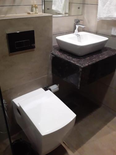 a bathroom with a white sink and a toilet at Aar Kay Inn & Suites in Jalandhar