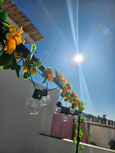 a vase with flowers in it sitting on a ledge at Olé Toledo in Cómpeta