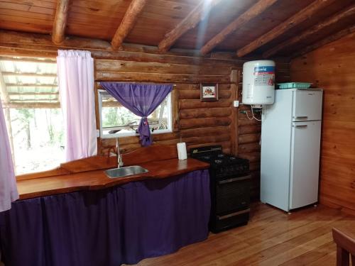 a kitchen with a sink and a refrigerator in a cabin at La exclusiva in Cosquín