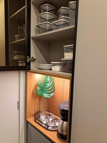 a cupboard with dishes and a green plant in it at Metrô Studio Alto do Ipiranga in Sao Paulo