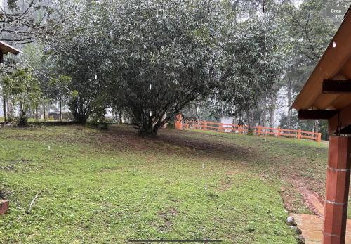 a tree in a field with an orange fence at Bella casa en cerró azul PANAMÁ in Panama City