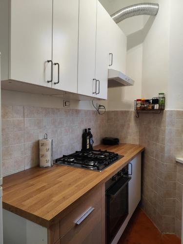 Saint Peters Place 2BR near Vatican