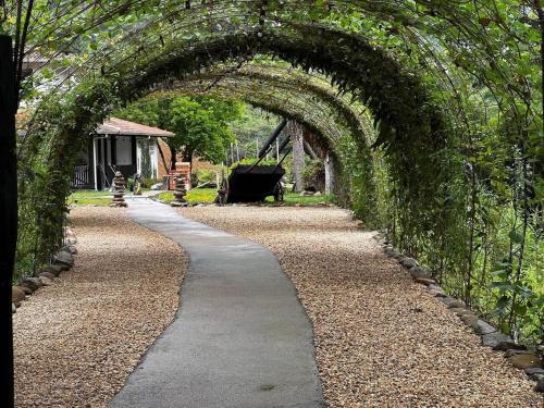 an archway over a path in a garden at O Vale do Colibri in Blinha