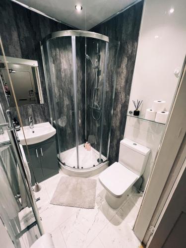 爱丁堡Central Designer Flat by Castle的带淋浴、马桶和水槽的浴室