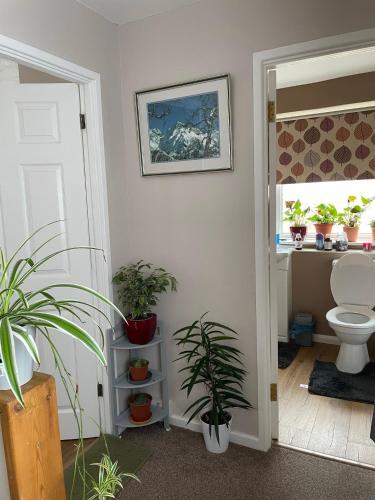 a bathroom with potted plants and a toilet at 182 in Drayton