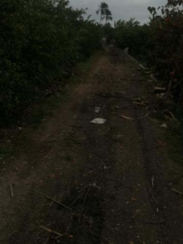 الإسكندرية