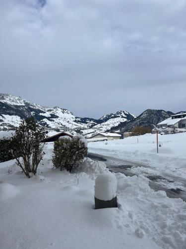アパートメントの近くで見られる自然の景観