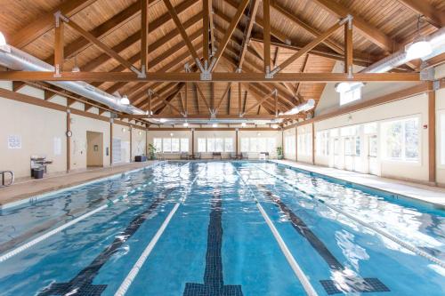 a large indoor swimming pool with blue water at SI2995: 2995 Seabrook Island Rd. in Seabrook Island