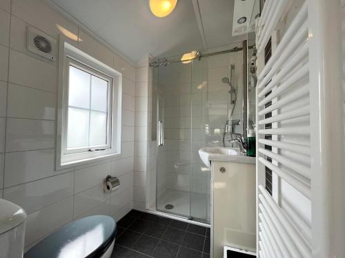 a bathroom with a sink and a toilet and a shower at Lakeside Farm Stay, Friesland in Sint Nicolaasga