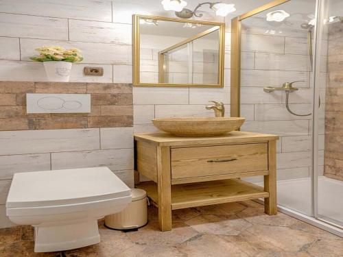 a bathroom with a sink and a toilet and a shower at Chalet in Liberec near Ski Resort Jested in Světlá pod Ještědem