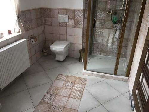a bathroom with a shower and a toilet at Chalet in Liberec near Ski Resort Jested in Světlá pod Ještědem
